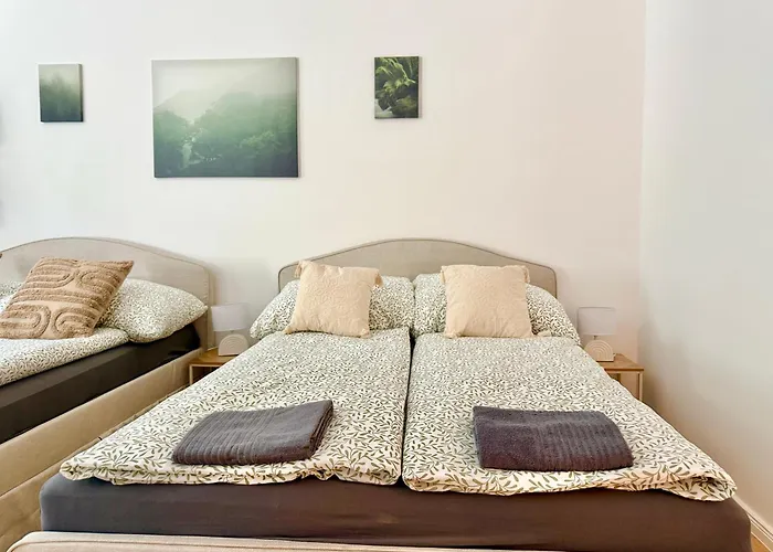 Apartment Stylish Renovated Near Center
